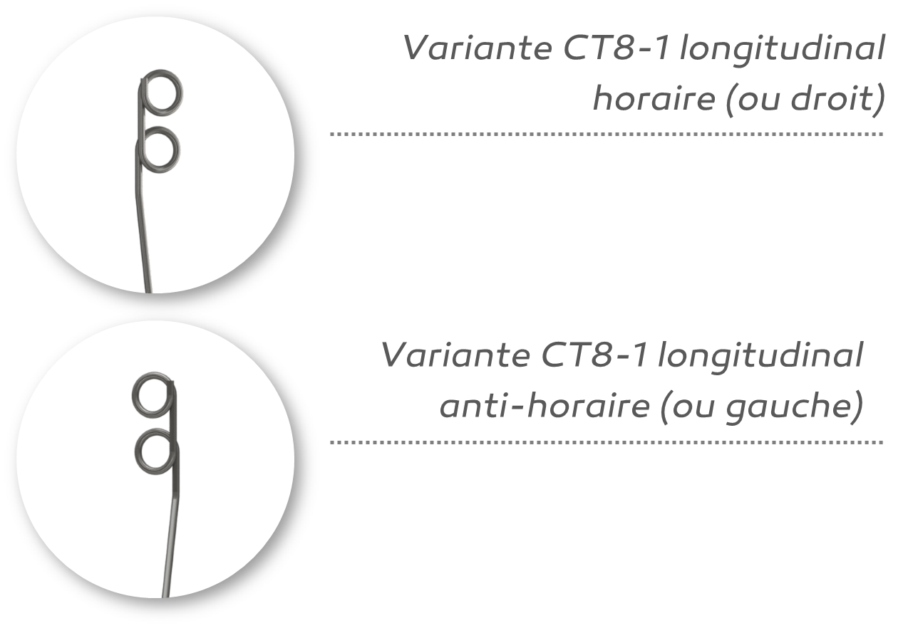 CT8-1 Longitudinal