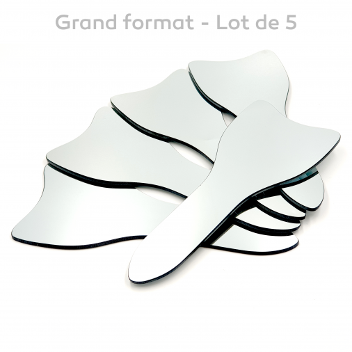 Bicuspid grand format - Lot de 5