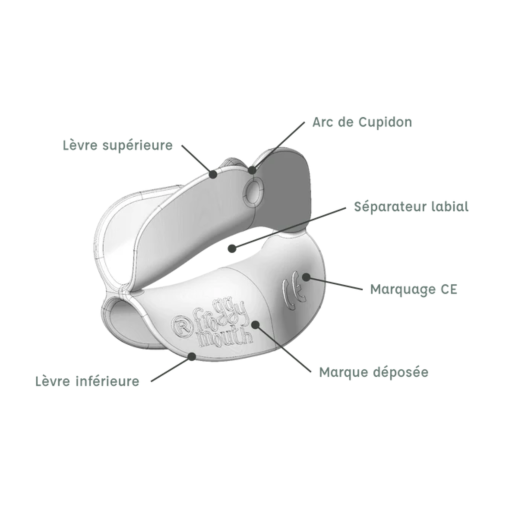 Thumbye+Froggy - Vignette 6